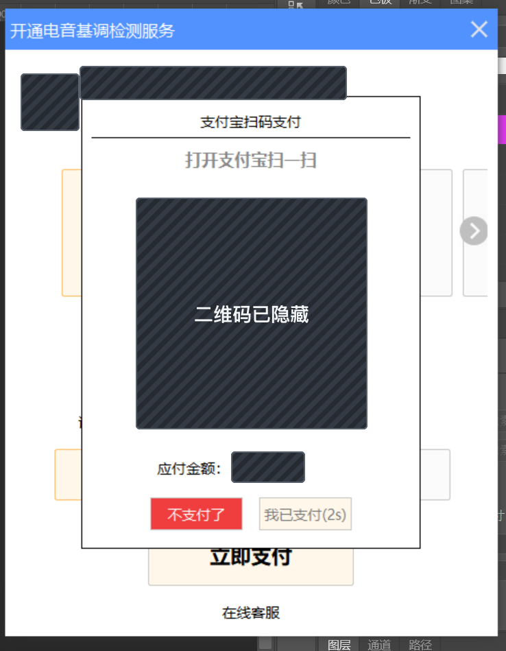已隐藏付款二维码的电音助手支付界面